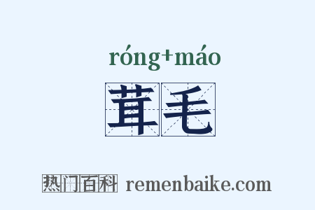茸毛是什么意思的图片